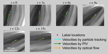 Graphical abstract: Deep-learning optical flow for measuring velocity fields from experimental data