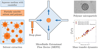 Graphical abstract: Microfluidic extensional flow device to study mass transfer dynamics in the polymer microparticle formation process