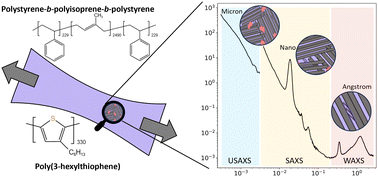 Graphical abstract: Morphology of poly-3-hexyl-thiophene blends with styrene–isoprene–styrene block-copolymer elastomers from X-ray and neutron scattering