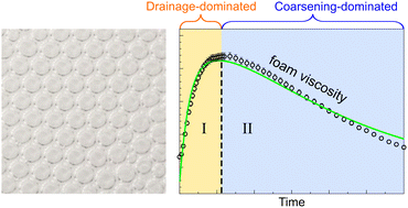 Graphical abstract: The peak viscosity of decaying foam with natural drainage and coarsening
