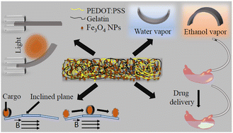 Graphical abstract: Responsive soft actuator: harnessing multi-vapor, light, and magnetic field stimuli