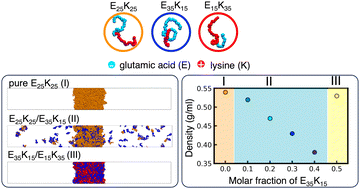 Graphical abstract: Effects of charge asymmetry on the liquid–liquid phase separation of polyampholytes and their condensate properties