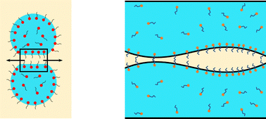 Graphical abstract: Rupture of thin liquid trilayer films with soluble surfactants: fundamentals and applications to droplet coalescence