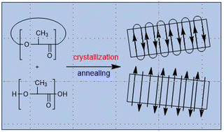 Graphical abstract: Low molar mass cyclic poly(l-lactide)s: separate transesterification reactions of cycles and linear chains in the solid state