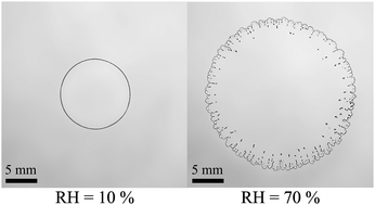 Graphical abstract: Spreading of volatile droplets in a humidity-controlled environment