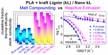 Graphical abstract: Structure–property relationships in renewable composites of poly(lactic acid) reinforced by low amounts of micro- and nano-kraft-lignin