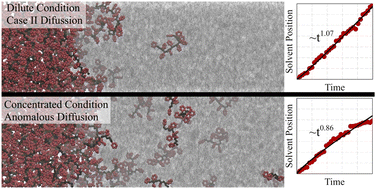 Graphical abstract: All-atom molecular dynamics simulation of solvent diffusion in an unentangled polystyrene film