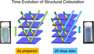 Graphical abstract: Time evolution of the inner structure of antimony phosphate nanosheet suspension developing structural colouration