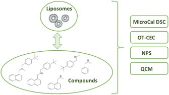 Graphical abstract: Fragment-based approach to study fungicide-biomimetic membrane interactions