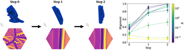 Graphical abstract: Shear annealing of a self-interacting sheet