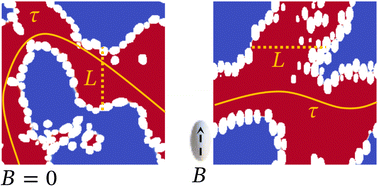 Graphical abstract: Formation of bijels stabilized by magnetic ellipsoidal particles in external magnetic fields