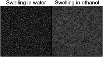 Graphical abstract: Unconstrained dynamic gel swelling generates transient surface deformations