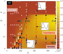 Graphical abstract: Activity-induced phase transition and coarsening dynamics in dry apolar active nematics