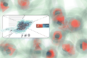 Graphical abstract: The impact of cross-linker distribution on magnetic nanogels: encapsulation, transport and controlled release of the tracer