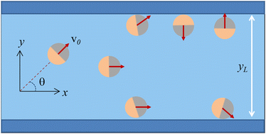 Graphical abstract: Particle–wall alignment interaction and active Brownian diffusion through narrow channels