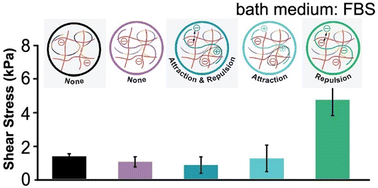 Graphical abstract: Network interactions simultaneously enhance stiffness and lubricity of triple-network hydrogels