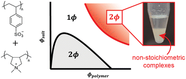 Graphical abstract: Segregative phase separation of strong polyelectrolyte complexes at high salt and high polymer concentrations