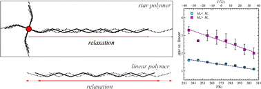 Graphical abstract: Polymer dynamics at low molecular weight of poly(butylene oxide) star polymers