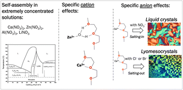 Graphical abstract: Non-ionic surfactant self-assembly in calcium nitrate tetrahydrate and related salts