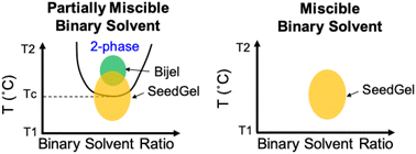 Graphical abstract: Solvent structure controlled SeedGel formation investigated using miscible binary solvents