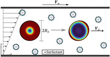 Graphical abstract: Shear-induced dynamics of an active Belousov–Zhabotinsky droplet