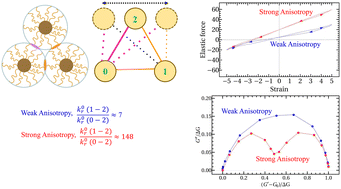 Graphical abstract: Local dynamics in functionalized polymer grafted nanoparticle systems with weak and strong functional anisotropy