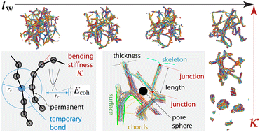 Graphical abstract: Ultra-slow self-similar coarsening of physical fibrillar gels formed by semiflexible polymers