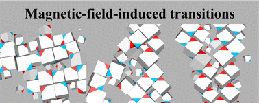 Graphical abstract: Magnetic field-induced transitions and phase diagram of aggregate structures in a suspension of polydisperse cubic haematite particles