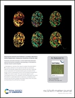 Graphical abstract: Back cover