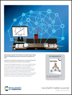 Graphical abstract: Back cover