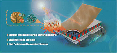 Graphical abstract: A biomass hydrogel solar evaporator based on low-grade tobacco leaves for water evaporation and thermoelectric conversion applications