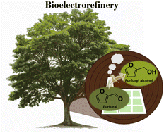 Graphical abstract: Revisiting the electrocatalytic hydrogenation of furfural to furfuryl alcohol using biomass-derived electrolytes