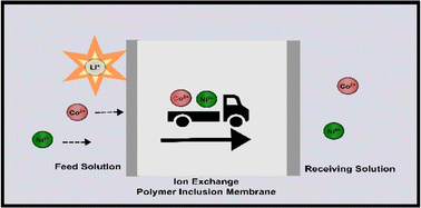 Graphical abstract: Complexation-driven ion-exchange polymer inclusion membranes for separation of cobalt and nickel ions from lithium-ion via proton pumping