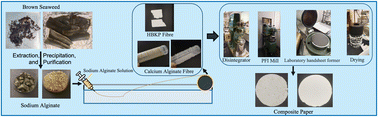Graphical abstract: Preparation of marine-sourced alginate fibres to produce composite paper from both green and blue carbons