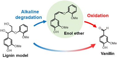 Graphical abstract: Pathways for vanillin production through alkaline aerobic oxidation of a phenolic lignin model compound, guaiacylglycerol-β-guaiacyl ether, in concentrated aqueous alkali