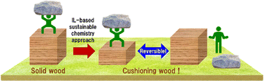 Graphical abstract: Fabrication of biological cushioning materials with natural wood structure by an ionic liquid-based sustainable chemistry approach