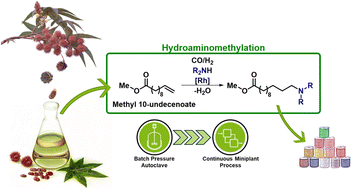 Graphical abstract: Hydroaminomethylation of methyl 10-undecenoate with integrated catalyst recycling via a thermomorphic multiphase system for the continuous production of renewable amines