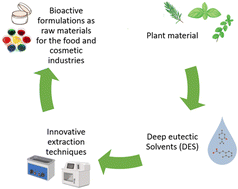 Graphical abstract: Coupling deep eutectic solvents with innovative extraction techniques towards plant derived bioactive compositions
