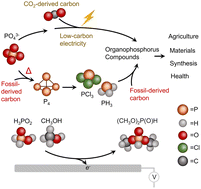 Graphical abstract: Dimethylphosphite electrosynthesis from inorganic phosphorus building blocks via oxidative coupling