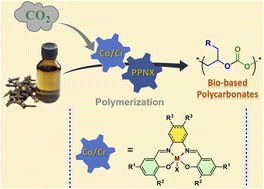 Graphical abstract: Facile synthesis of polycarbonates from biomass-based eugenol: catalyst optimization for selective copolymerization of CO2 and eugenol to achieve polycarbonates