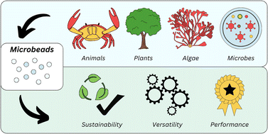 Graphical abstract: Carbohydrate-based alternatives to traditional synthetic plastic microbeads: a critical review