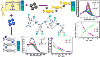 Graphical abstract: Self-assembled tetracyanoquinodimethane derivatives: differential fluorescent responses on sensing copper and mercury ions in an aqueous medium