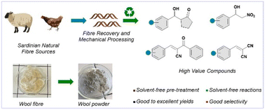 Graphical abstract: Mechanically processed Sardinian wool promotes C–C bond synthesis under solvent-free conditions