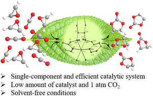 Graphical abstract: Efficient single-component nickel catalysts with tetradentate aminopyridine ligands for cycloaddition reactions of CO2 and epoxides under mild conditions