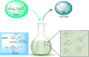 Graphical abstract: Nitro-functionalized imidazolium salts as acidic catalysts for cellulose degradation in ionic liquids
