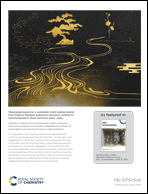 Graphical abstract: Back cover