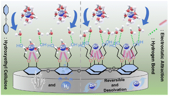 Graphical abstract: Unveiling the correlation between the thickness and uniformity of the hydroxyethyl cellulose film and its protective effect on the zinc electrode