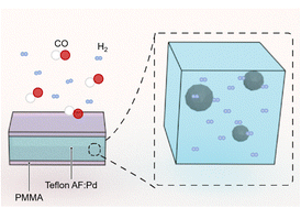 Graphical abstract: A surface passivated fluorinated polymer nanocomposite for carbon monoxide resistant plasmonic hydrogen sensing