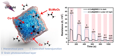 Graphical abstract: Dual regulation of hierarchical porosity and heterogeneous interfaces in Cu-BTC/Bi2MoO6 for thermally-driven and UV-light-activated selective acetone sensing