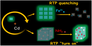 Graphical abstract: Two new Cd-based metal–organic frameworks for afterglow detection of Fe3+ and NH3